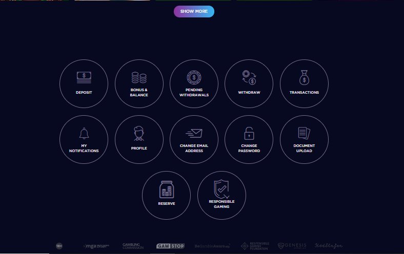 user interface in genesis casino