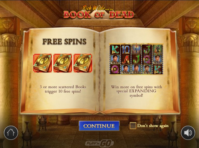 free spins at book of dead video slot