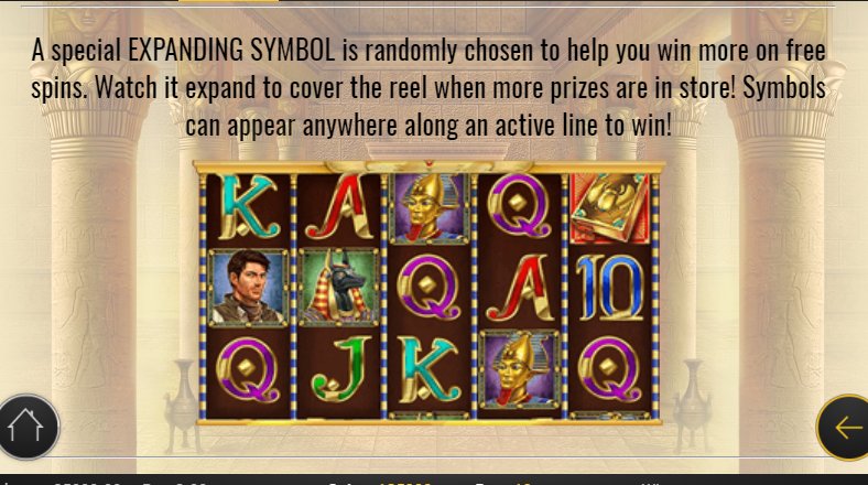 expanding symbol feature at book of dead slot machine