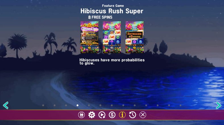 a rush option in Hawaiian Dream Xmas video slot