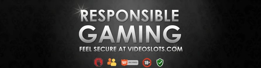 responsible gambling in videoslots casino